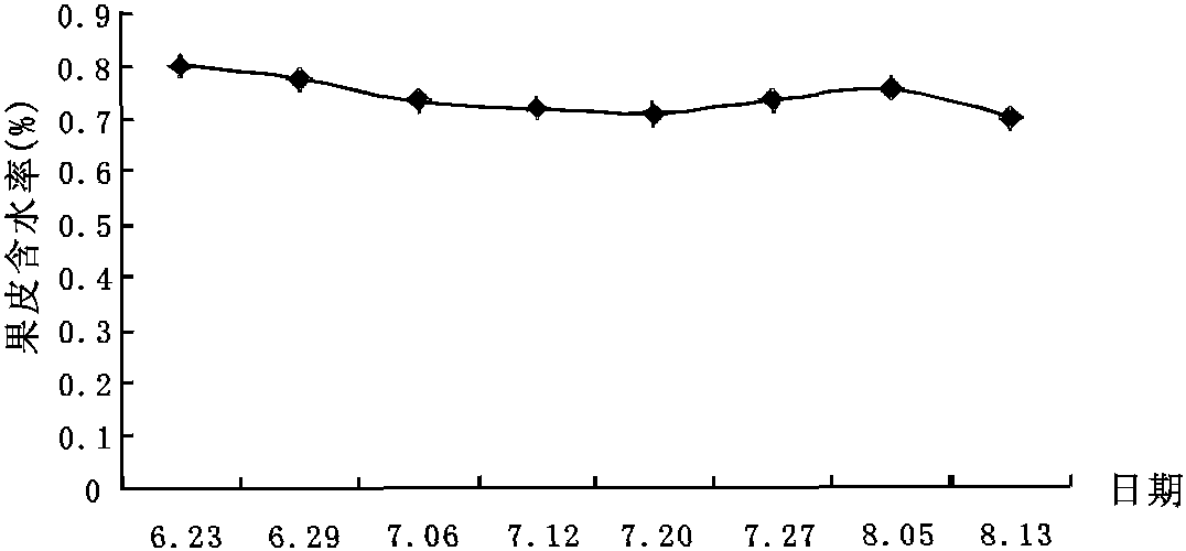 7.2 花果與結(jié)實(shí)特性